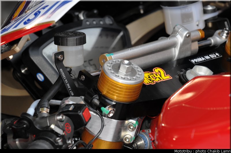 paddock_05