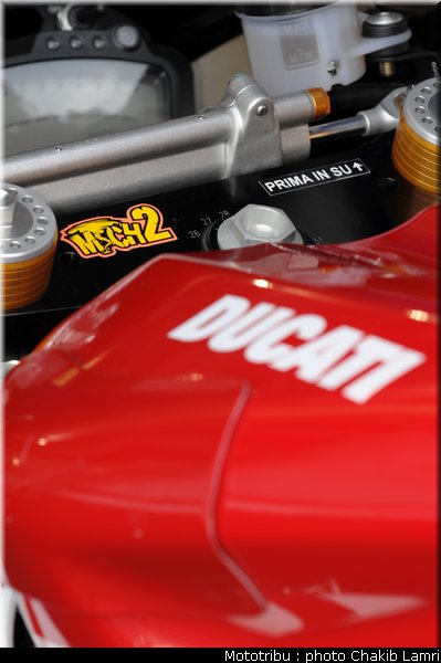 paddock_06