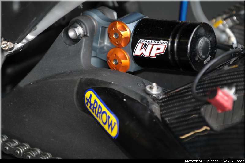 paddock_08