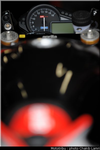 paddock_15