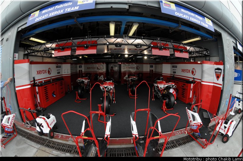 paddock_24