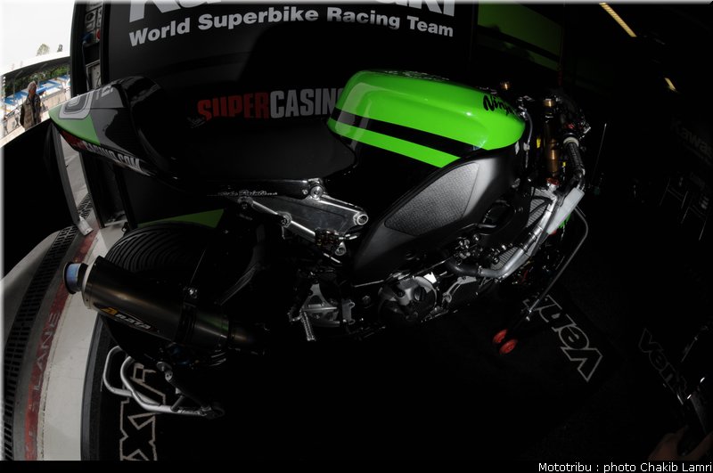 paddock_26