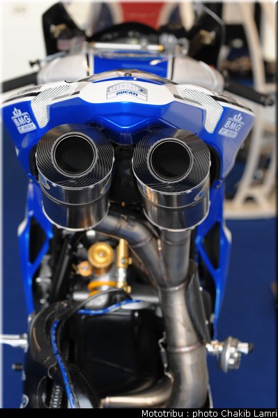 paddock_46