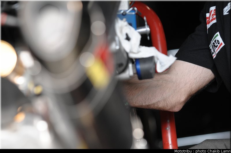 paddock_50