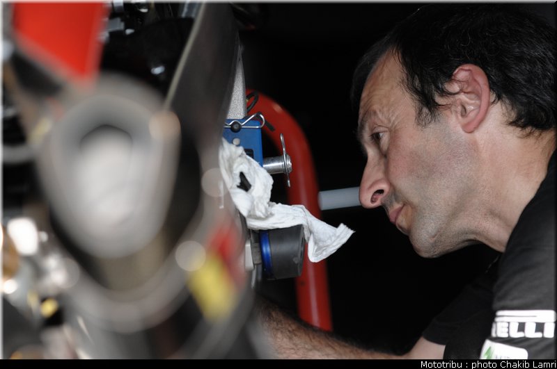 paddock_51