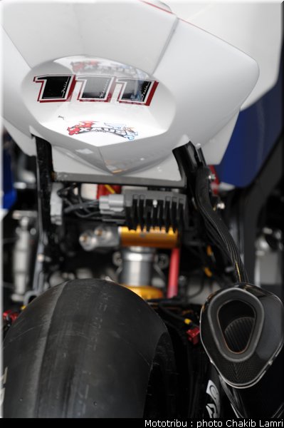 paddock_54