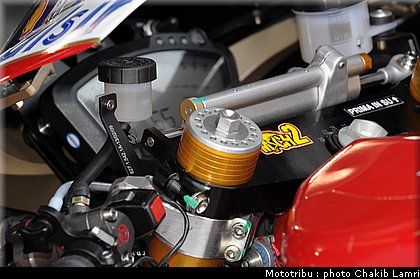 paddock_05.JPG