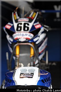 paddock_12.JPG