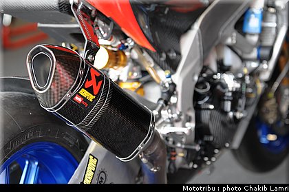 paddock_14.JPG