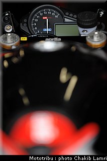 paddock_15.JPG