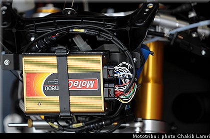 paddock_21.JPG