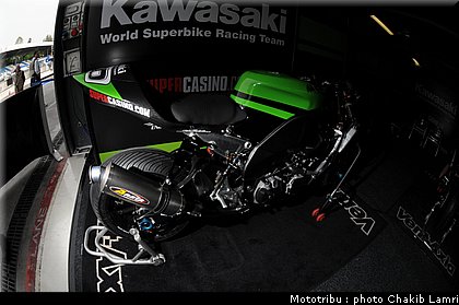paddock_25.JPG