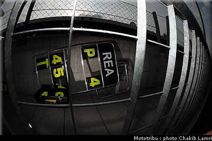 paddock_35.JPG