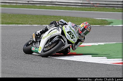 rea_06.JPG