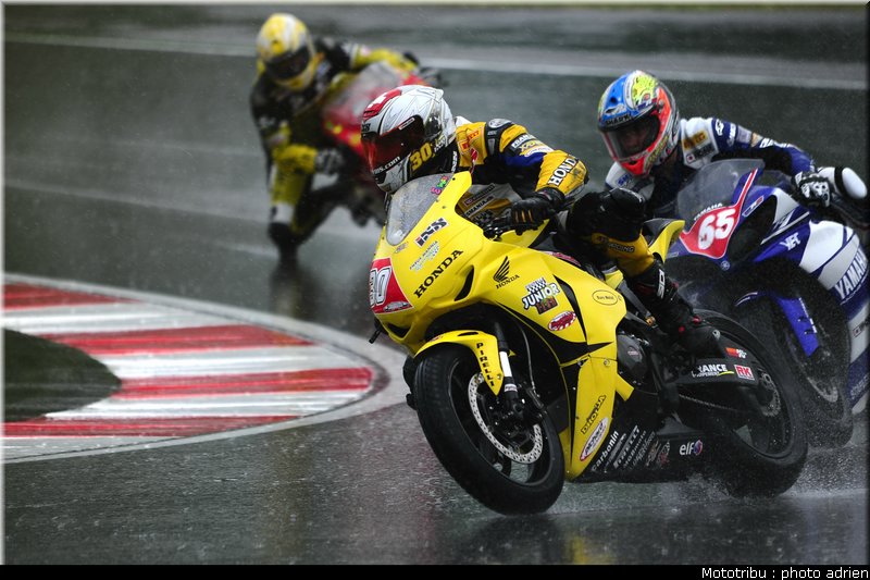 stk1000_02