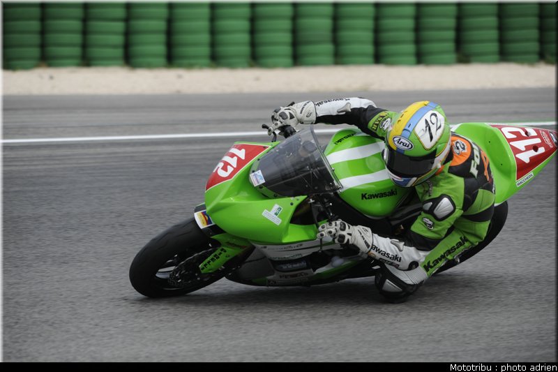 stk1000_fores