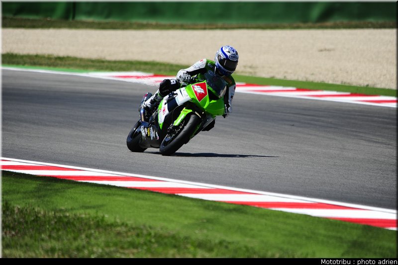 stk1000_ortega_3