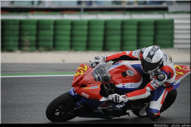 stk600_boscoscuro_1