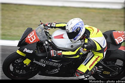 stk600_gregorini_3.JPG