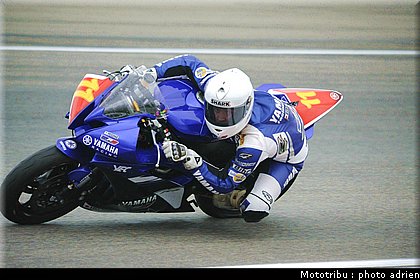 stk600_guarnoni_16.jpg