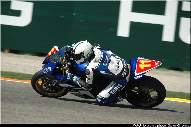 stk600_guarnoni_3_valence_2010
