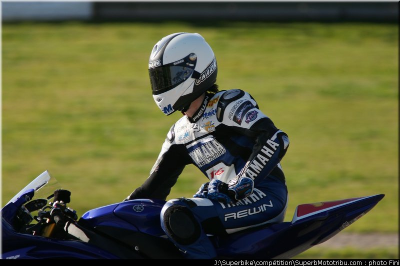 stk600_guarnoni_3_valence_2010