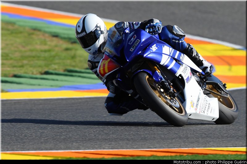 stk600_guarnoni_1_valence_2010