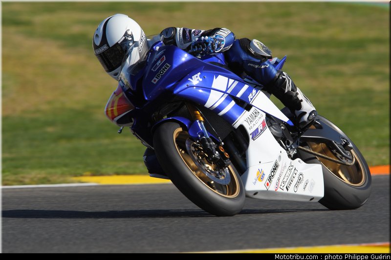 stk600_guarnoni_3_valence_2010