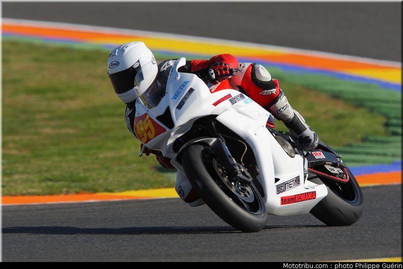 stk600_muresan_1_valence_2010