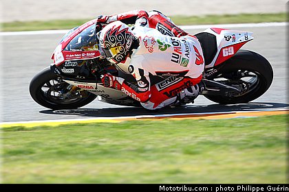 stk1000_jezek_2_valence_2010.JPG