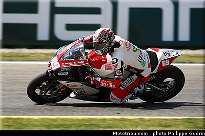 stk1000_jezek_3_valence_2010.JPG