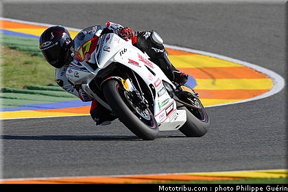 stk600_carvalho_3_valence_2010.JPG