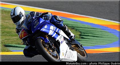 stk600_guarnoni_2_valence_2010.JPG