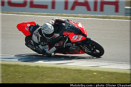 1000stk_lussiana_2_assen_2010.JPG