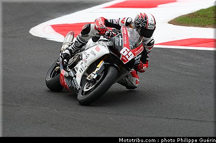 1000stk_jezek_2_monza_2010.JPG