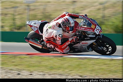 1000stk_jezek_1_tchequie_2010.JPG
