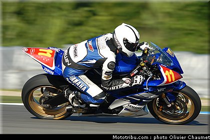 600stk_guarnoni_01_tchequie_2010.JPG