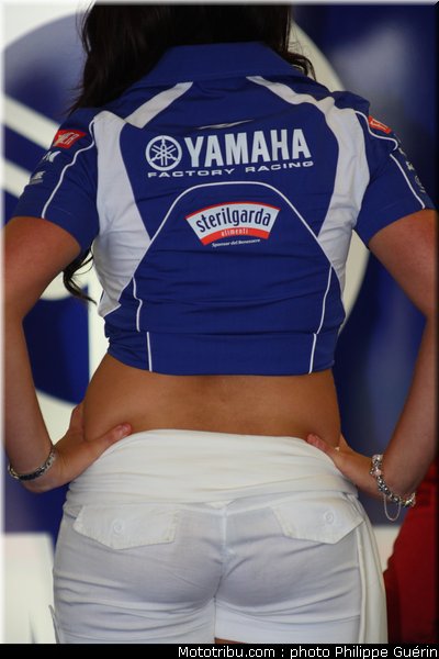 sbk_pitbabe_38_angleterre_2010