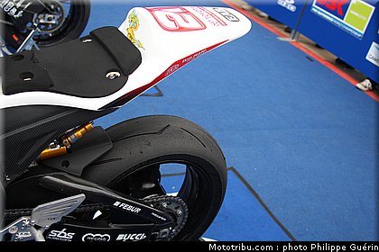 1000stk_berger_05_angleterre_2010.JPG