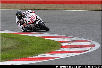 1000stk_berger_09_angleterre_2010.JPG