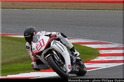 1000stk_berger_10_angleterre_2010.JPG