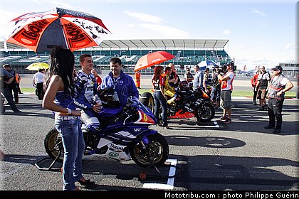600stk_1_angleterre_2010.JPG