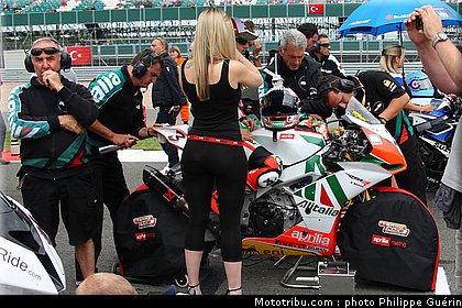 sbk_pitbabe_07_angleterre_2010.JPG