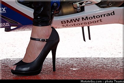 sbk_pitbabe_012_angleterre_2010.jpg