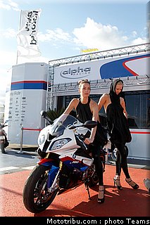 sbk_pitbabe_015_angleterre_2010.jpg