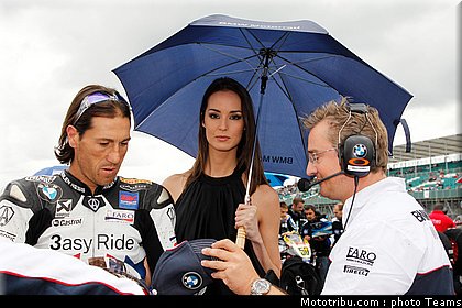 sbk_pitbabe_016_angleterre_2010.jpg