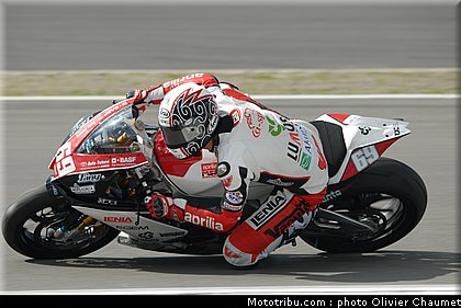 1000stk_jezek_1_allemagne_2010.JPG