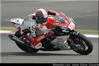 1000stk_jezek_2_allemagne_2010.JPG