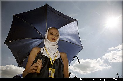 sbk_pitbabes_06_allemagne_2010.jpg