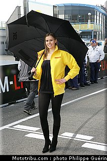 sbk_pitbabes_08_paysbas_2011_assen.JPG